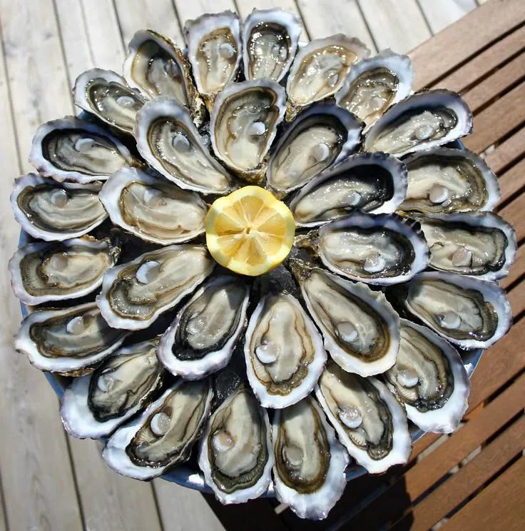 Atelier fruits de mer