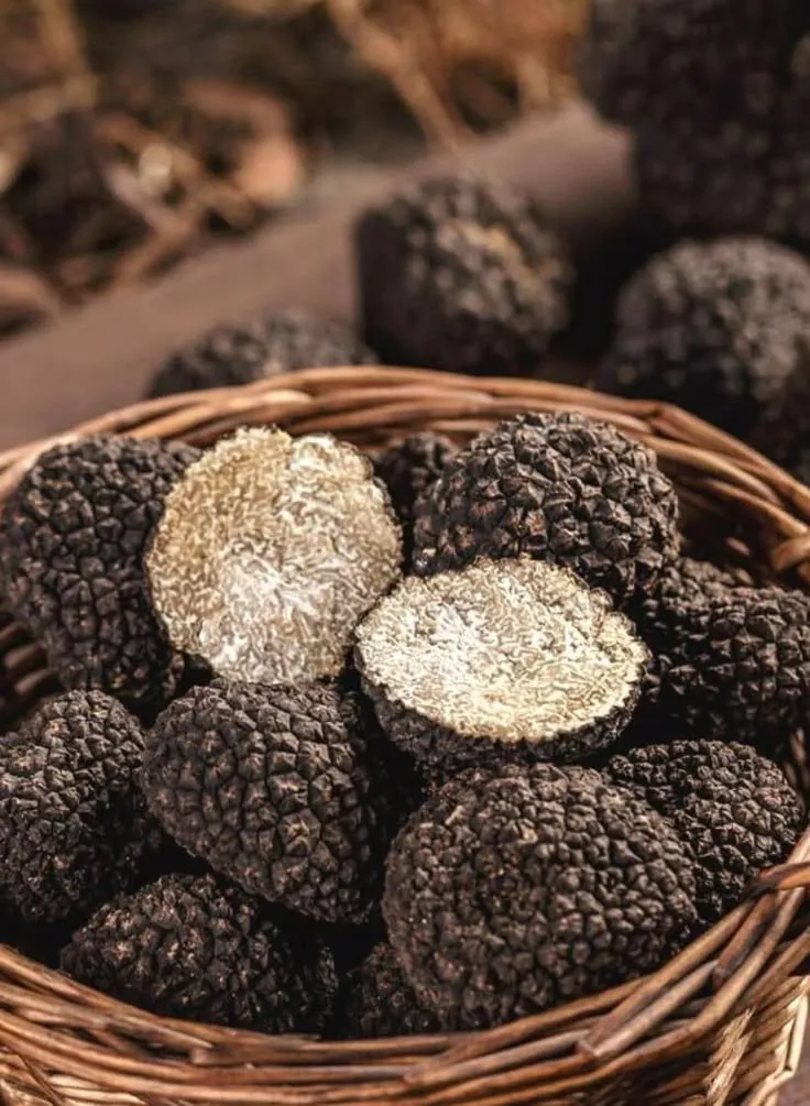 Atelier truffes